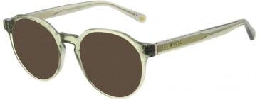 Ted Baker TB8245 sunglasses in Pistachio
