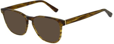 Ted Baker TB8282 sunglasses in Khaki Horn