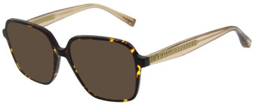 Ted Baker TB9257 sunglasses in Tortoise