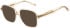 Ted Baker TB9257 sunglasses in Crystal Champagne