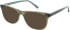 TB8262 Sunglasses in Crystal Olive