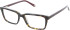 Ted Baker TBB985 glasses in Tortoiseshell