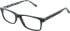 Ted Baker TB8220 glasses in Black