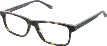 Ted Baker TB8220 glasses in Tortoise