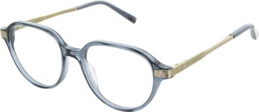 Ted Baker TB9232 glasses in Grey/Gold