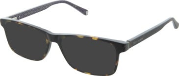 Ted Baker TB8220 sunglasses in Tortoise