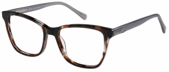 Radley RDO-6026 glasses in GRYTORT