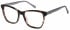 Radley RDO-6026 glasses in GRYTORT