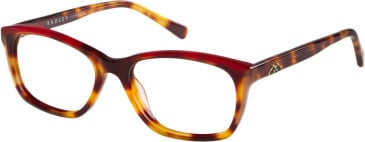 Radley RDO-6027 glasses in TORTRED