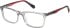 Superdry SDO-3009 glasses in GREYRED