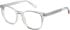 Superdry SDO-3012 glasses in CRYSTAL