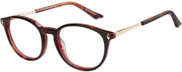 Episode EPO-409 glasses in Tortoise Purple