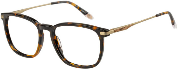 O'Neill ONB-4007 glasses in Tortoise
