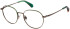 Superdry SDO-3020 glasses in Matt Green