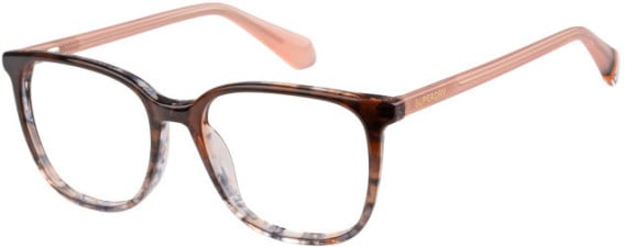 Superdry SDO-3023 glasses in Tortoise