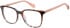 Superdry SDO-3023 glasses in Tortoise