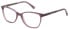 Botaniq BIO-1078 glasses in Gloss Purple