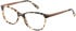 Botaniq BIO-1078 glasses in Gloss Tortoise
