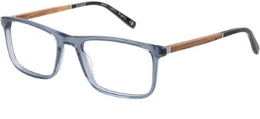 Botaniq BIO-1081 glasses in Gloss Blue