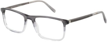 Botaniq BIO-1081 glasses in Grey