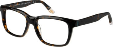 O'Neill ONB-4008 glasses in Gloss Tortoise