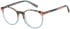 Radley RDO-6043 glasses in Multi/Pink