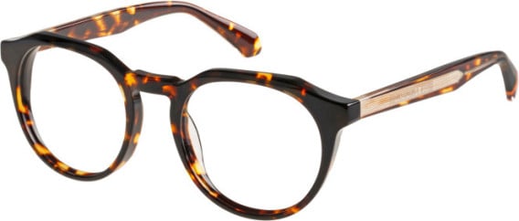 Superdry SDO-3013 glasses in Tortoise