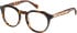 Superdry SDO-3013 glasses in Tortoise