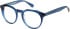 Superdry SDO-3013 glasses in Blue Crystal