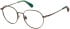 Superdry SDO-3020 glasses in Matt Green
