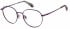 Superdry SDO-3020 glasses in Purple