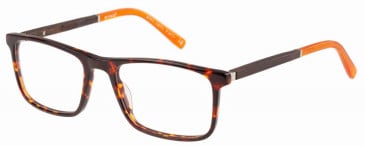 Botaniq BIO-1081 glasses in Gloss Tortoise
