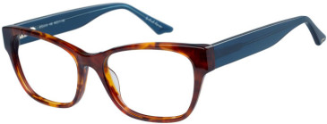 Episode EPO-412 glasses in Tortoise