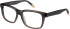 O'Neill ONB-4008 glasses in Gloss Grey