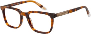 O'Neill ONB-4028 glasses in Tortoise