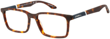 O'Neill ONO-4503 glasses in Tortoise