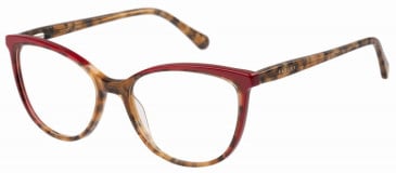 Radley RDO-6036 glasses in Tortoise/Red