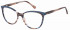 Radley RDO-6036 glasses in Brown/Blue