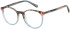 Radley RDO-6043 glasses in Multi/Pink