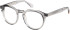 Superdry SDO-3013 glasses in Grey