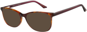 Episode EPO-410 sunglasses in Tortoise