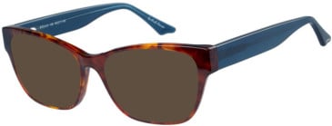 Episode EPO-412 sunglasses in Tortoise