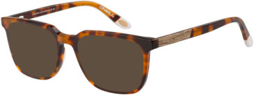 O'Neill ONB-4028 sunglasses in Tortoise