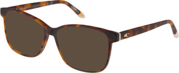 O'Neill ONB-4029 sunglasses in Matt Tortoise