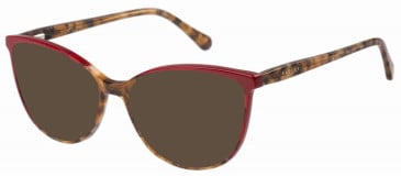 Radley RDO-6036 sunglasses in Tortoise/Red