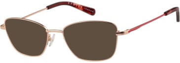 Radley RDO-6041 sunglasses in Gold