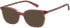 Radley RDO-6042 sunglasses in Burgundy/Copper