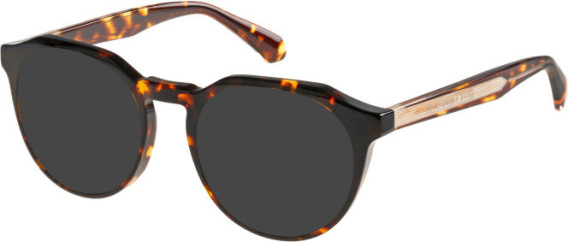 Superdry SDO-3013 sunglasses in Tortoise