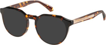 Superdry SDO-3013 sunglasses in Tortoise