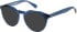 Superdry SDO-3013 sunglasses in Blue Crystal